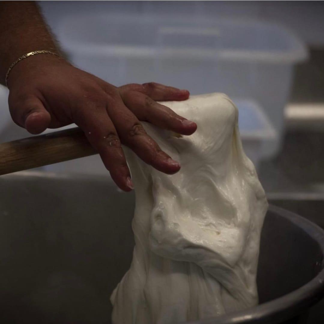 Frische Mozzarella wird von Hand gezogen
